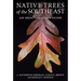 Native Trees of the Southeast: An Identification Guide