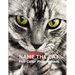 Name The Cat Full-Color Picture Book: Cute Adorable Cats Picture Book for Children, Seniors and every Cat lovers