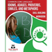COMMON CORE LANGUAGE Idioms, Adages, Proverbs, Similes, and Metaphors Skill-Building Workbook, Grade 3, Grade 4, and Grade 5