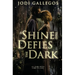 A Shine that Defies the Dark: A Historical Romance
