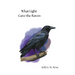 What Light Gave the Raven