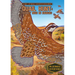 Quail Hunt: Covey Rise in Kansas: Covey Rise in Kansas