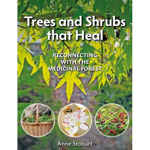 Trees and Shrubs That Heal: Reconnecting with the Medicinal Forest
