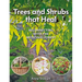 Trees and Shrubs That Heal: Reconnecting with the Medicinal Forest