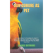 Sun Conure as Pet: A Complete Guide On Everything You Need To Know About The Sun Conure, Care, And Feeding, Health Care, Behavior And How
