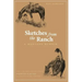 Sketches from the Ranch: A Montana Memoir