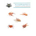 Essential Permit Patterns: 5 flies that must be in your box for chasing the "Black Fin Devils"
