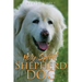 Holy Spirit Shepherd Dog