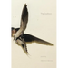 The Swallows