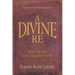 A Divine Re: The More Excellent Way