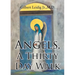 Angels, A Thirty Day Walk