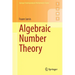 Algebraic Number Theory