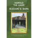 Harold the Hawk at Buzzard B. Barn: Harold the Hawk Cousins Adventure Series