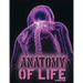 Anatomy of Life