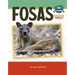 Fosas