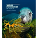 Wildlife Photographer of the Year: Highlights Volume 8: Volume 8