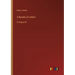 A Bundle of Letters: in large print