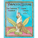 The Cultivators Handbook of Natural Tobacco: Second Edition