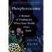 Phosphorescence: A Memoir of Finding Joy When Your World Goes Dark