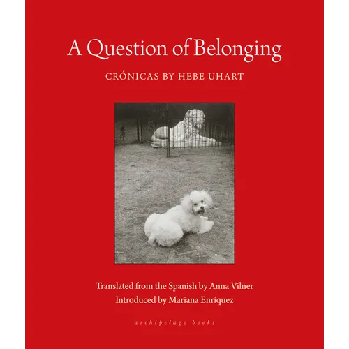 A Question of Belonging: Crónicas