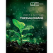 Bible Keywording Guide: 1 & 2 Thessalonians