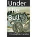 Under the Bull