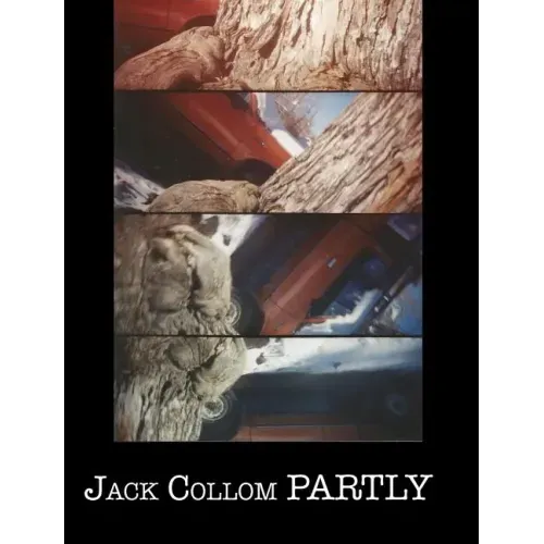 Partly: Selected Poems: 1954-2016