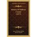 History Of Sullivan County (1873)