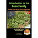 Introduction to the Bean Family - Growing Beans in Your Garden Organically
