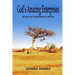 God's Amazing Enterprises: A Story of Christianity in Africa