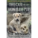 The Case of the Homeless Pup: A Paul Manziuk and Jacquie Ryan Novella