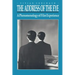 The Address of the Eye: A Phenomenology of Film Experience