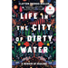 Life in the City of Dirty Water: A Memoir of Healing