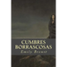 Cumbres Borrascosas