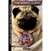 From Worries to Wags: Explore the Dark Side of Dogs' Life