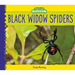 Black Widow Spiders