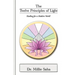The Twelve Principles of Light