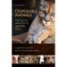 Disposable Animals: The Harms We Inflict & How We Stop