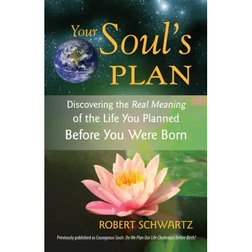 Your Soul's Plan: Discovering the Real Meaning of the Life You Planned Before You Were Born