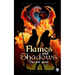 Flames and Shadows: The Lost Quest
