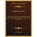 Codex Rosae Crucis: A Rare And Curious Manuscript Of Rosicrucian Interest, Now Published For The First Time In Its Original Form
