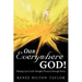 Our Everywhere God!: Waking Up to God's Almighty Presence Through Poetry