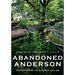 Abandoned Anderson, Indiana: Scarecrows in Barren Fields