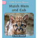 Match Mom and Cub