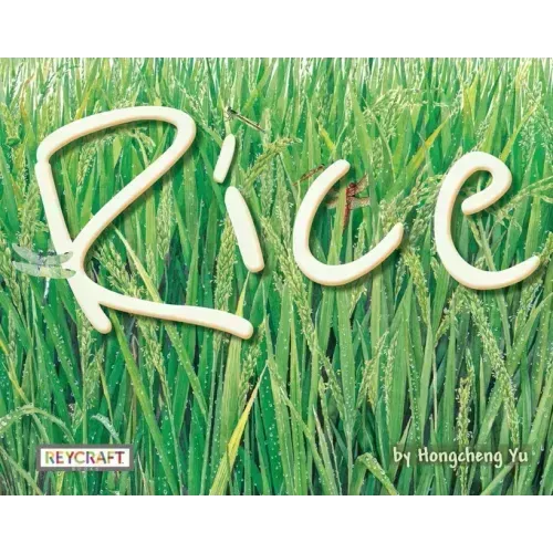 Rice