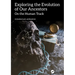 Exploring the Evolution of our Ancestors: On the Human Track