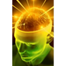 emergence of integrity