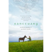 Sanctuary: The True Story of an Irish Village, a Man Who Lost His Way, and the Rescue Donkeys That Led Him Home