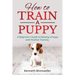How to Train a Puppy: A Beginner's Guide to Raising a Puppy with Positive Training