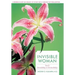 Invisible Woman: I to I: Invisibility to Invincibility